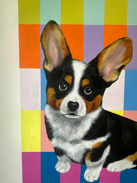 Corgi on Color