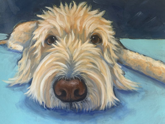Cooper