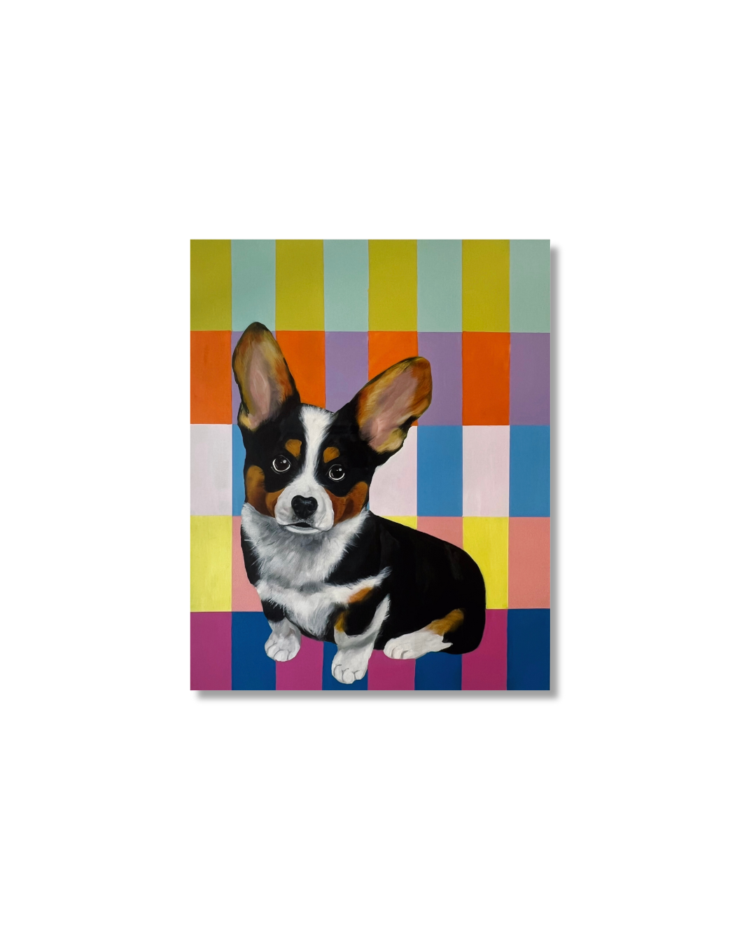 Corgi on Color