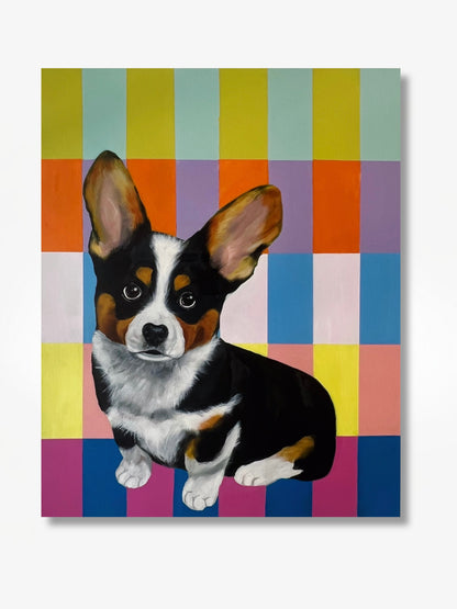 Corgi on Color