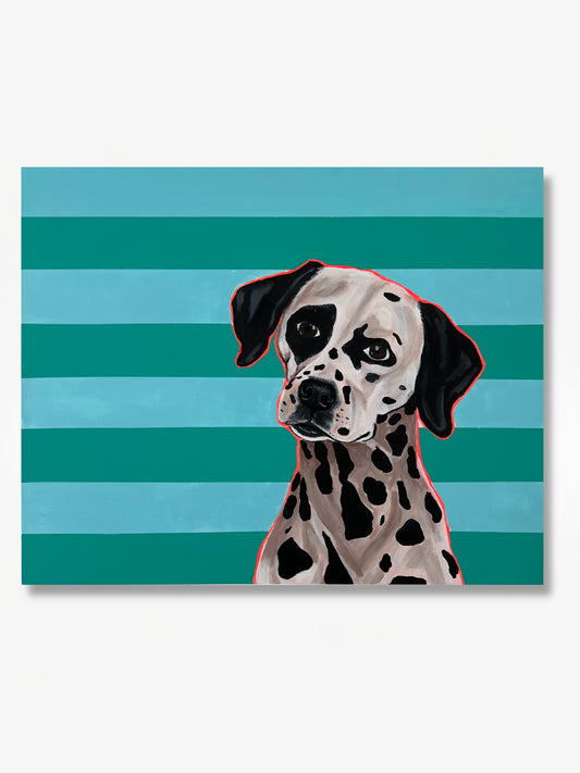 Spots & Stripes
