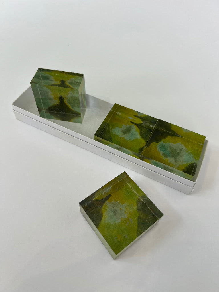 Bark & Moss Lucite Napkin Weights (Set of 4)