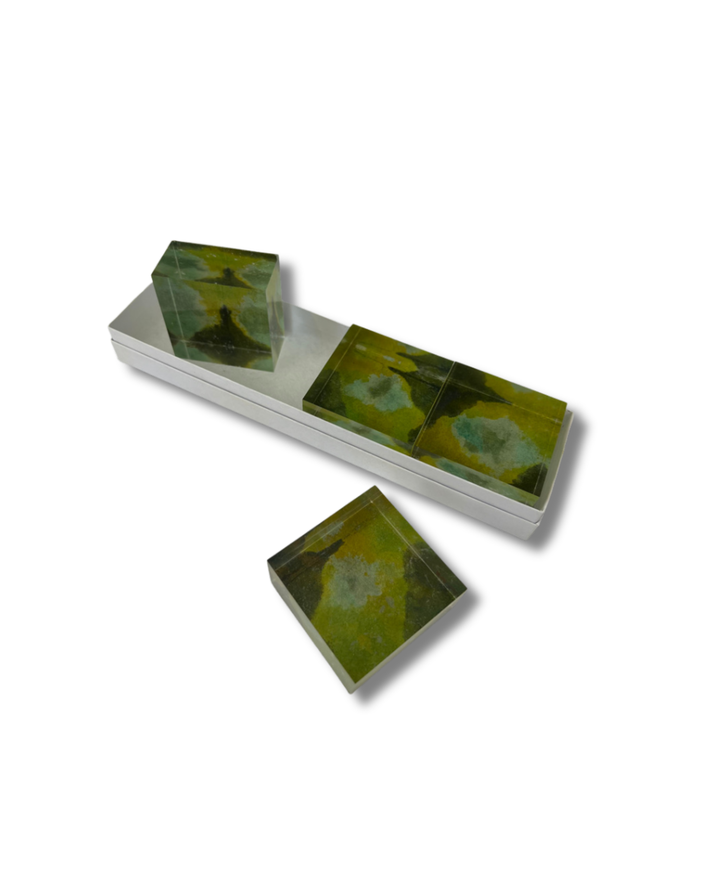 Bark & Moss Lucite Napkin Weights (Set of 4)