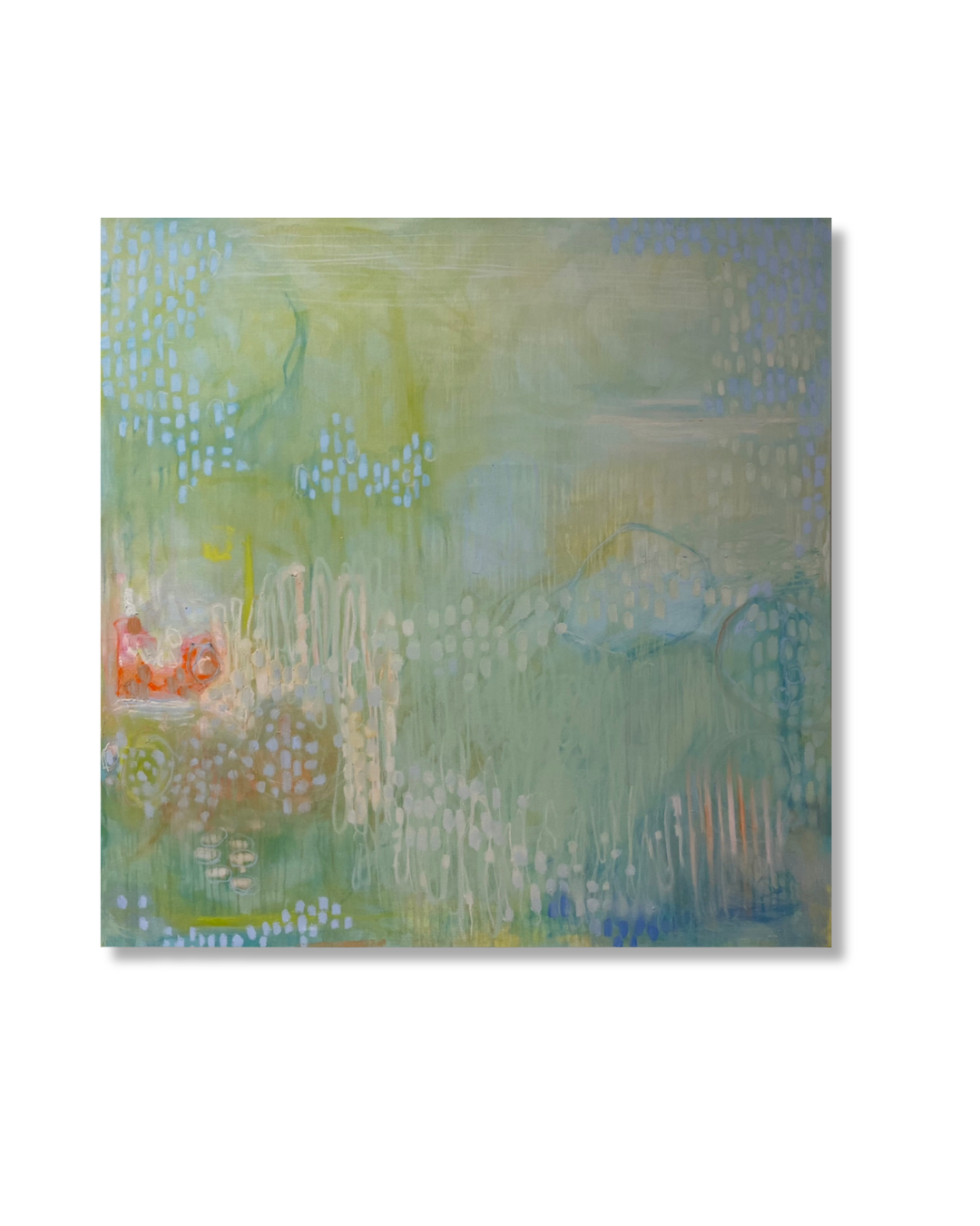 Tide Pools, Langosta & Tamarindo